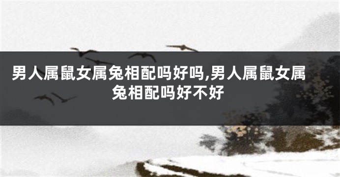 男人属鼠女属兔相配吗好吗,男人属鼠女属兔相配吗好不好