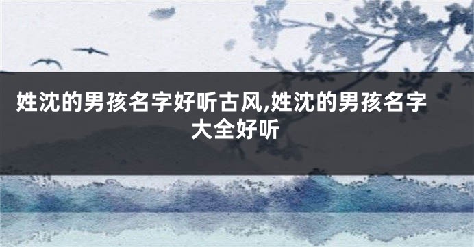 姓沈的男孩名字好听古风,姓沈的男孩名字大全好听