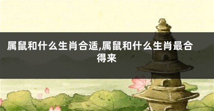 属鼠和什么生肖合适,属鼠和什么生肖最合得来