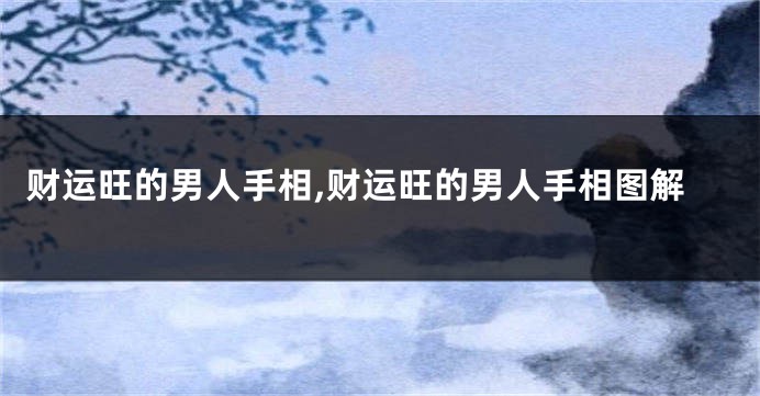 财运旺的男人手相,财运旺的男人手相图解