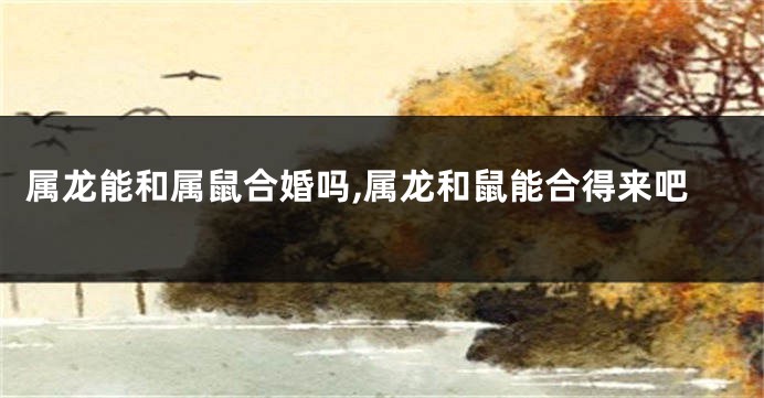 属龙能和属鼠合婚吗,属龙和鼠能合得来吧