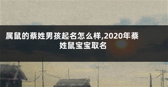属鼠的蔡姓男孩起名怎么样,2020年蔡姓鼠宝宝取名