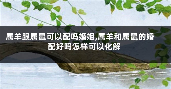 属羊跟属鼠可以配吗婚姻,属羊和属鼠的婚配好吗怎样可以化解