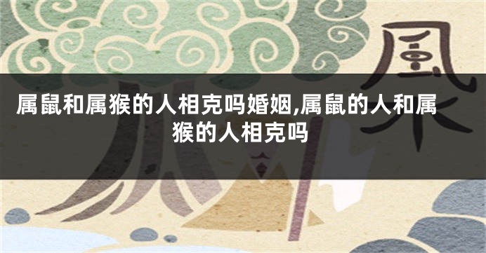 属鼠和属猴的人相克吗婚姻,属鼠的人和属猴的人相克吗