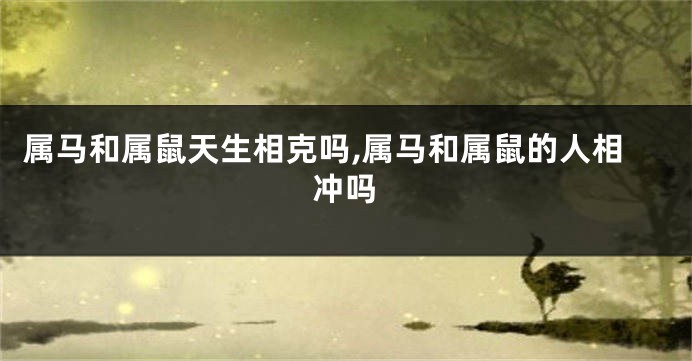 属马和属鼠天生相克吗,属马和属鼠的人相冲吗