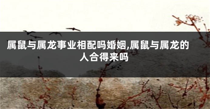属鼠与属龙事业相配吗婚姻,属鼠与属龙的人合得来吗