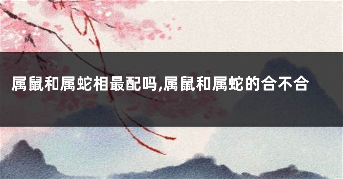 属鼠和属蛇相最配吗,属鼠和属蛇的合不合