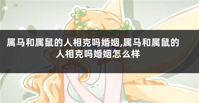 属马和属鼠的人相克吗婚姻,属马和属鼠的人相克吗婚姻怎么样