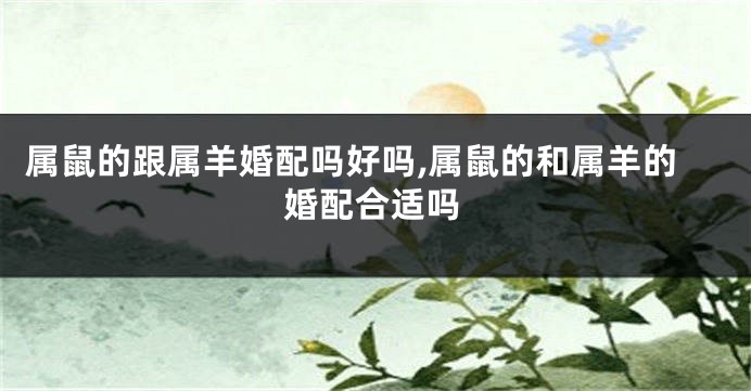 属鼠的跟属羊婚配吗好吗,属鼠的和属羊的婚配合适吗