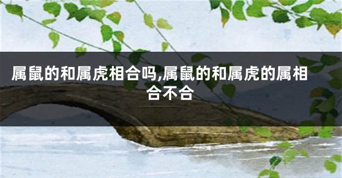 属鼠的和属虎相合吗,属鼠的和属虎的属相合不合