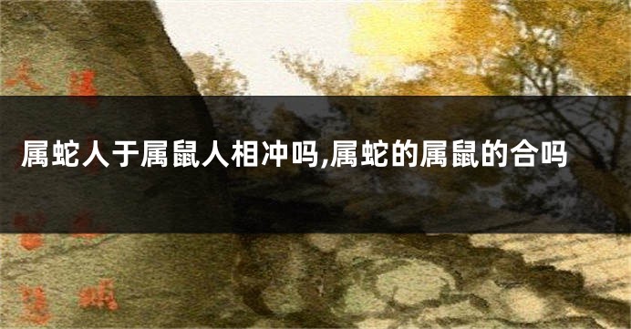 属蛇人于属鼠人相冲吗,属蛇的属鼠的合吗
