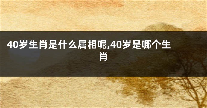 40岁生肖是什么属相呢,40岁是哪个生肖