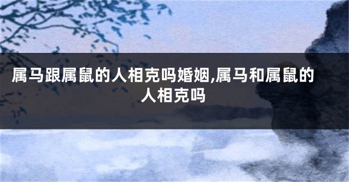 属马跟属鼠的人相克吗婚姻,属马和属鼠的人相克吗