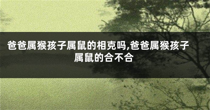 爸爸属猴孩子属鼠的相克吗,爸爸属猴孩子属鼠的合不合