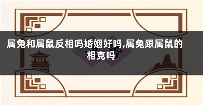 属兔和属鼠反相吗婚姻好吗,属兔跟属鼠的相克吗