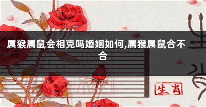 属猴属鼠会相克吗婚姻如何,属猴属鼠合不合