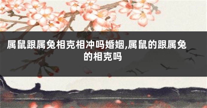 属鼠跟属兔相克相冲吗婚姻,属鼠的跟属兔的相克吗