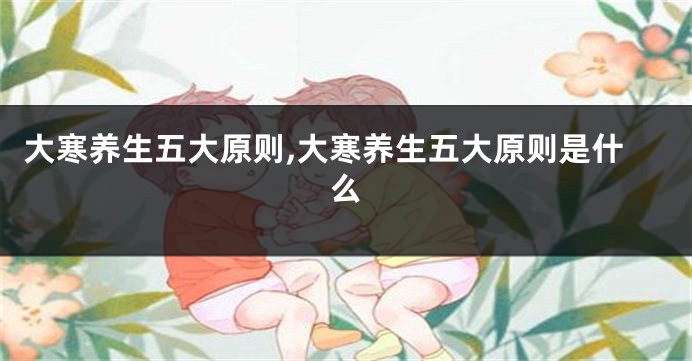 大寒养生五大原则,大寒养生五大原则是什么
