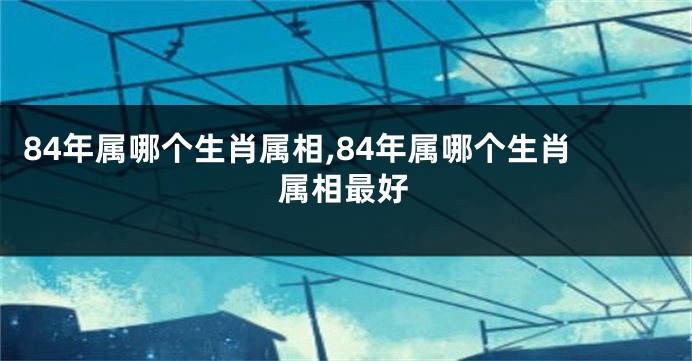 84年属哪个生肖属相,84年属哪个生肖属相最好