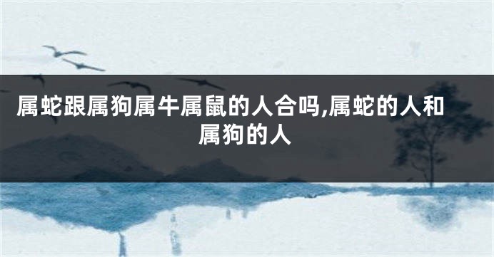 属蛇跟属狗属牛属鼠的人合吗,属蛇的人和属狗的人