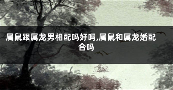 属鼠跟属龙男相配吗好吗,属鼠和属龙婚配合吗