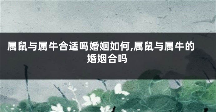 属鼠与属牛合适吗婚姻如何,属鼠与属牛的婚姻合吗