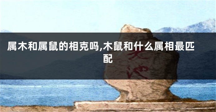 属木和属鼠的相克吗,木鼠和什么属相最匹配