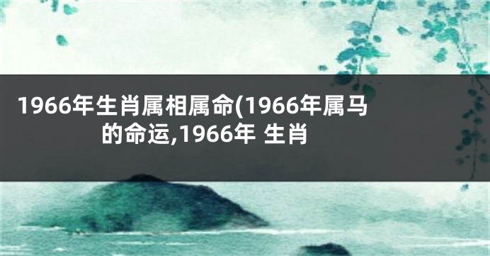1966年生肖属相属命(1966年属马的命运,1966年 生肖