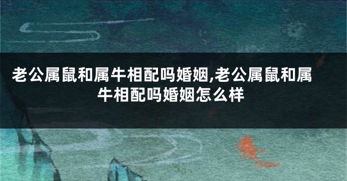 老公属鼠和属牛相配吗婚姻,老公属鼠和属牛相配吗婚姻怎么样