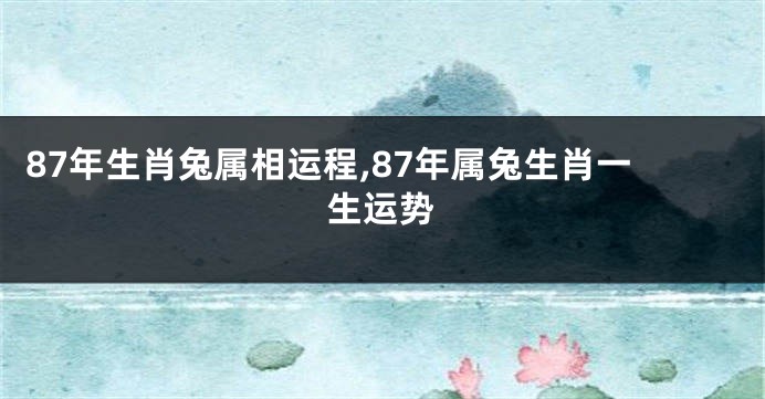 87年生肖兔属相运程,87年属兔生肖一生运势
