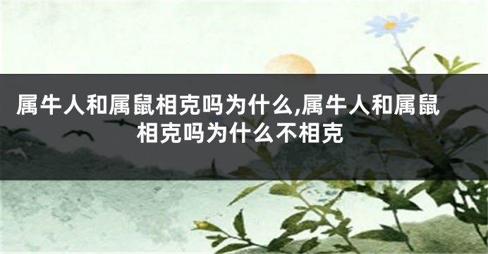 属牛人和属鼠相克吗为什么,属牛人和属鼠相克吗为什么不相克
