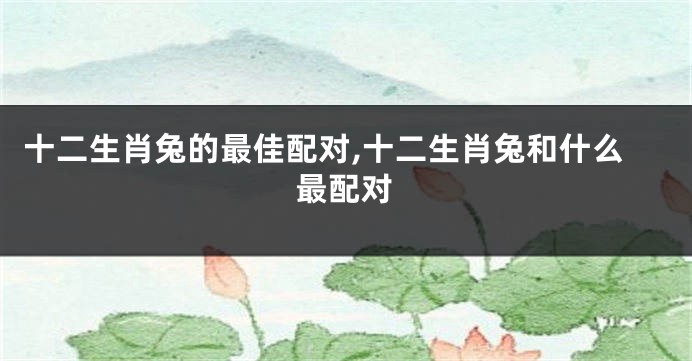 十二生肖兔的最佳配对,十二生肖兔和什么最配对