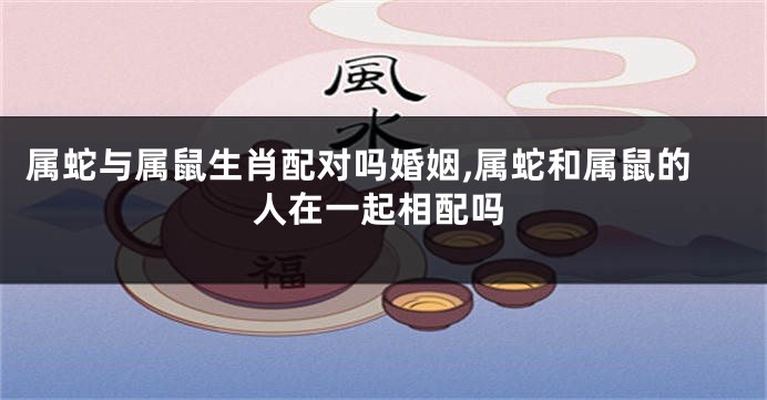 属蛇与属鼠生肖配对吗婚姻,属蛇和属鼠的人在一起相配吗