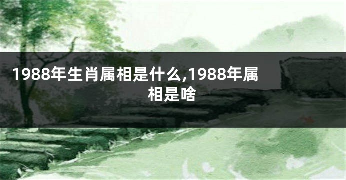 1988年生肖属相是什么,1988年属相是啥