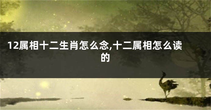 12属相十二生肖怎么念,十二属相怎么读的