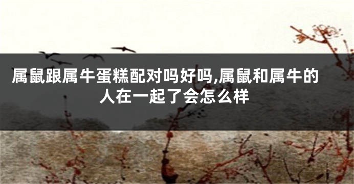 属鼠跟属牛蛋糕配对吗好吗,属鼠和属牛的人在一起了会怎么样