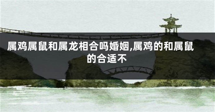 属鸡属鼠和属龙相合吗婚姻,属鸡的和属鼠的合适不