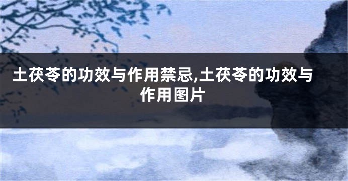 土茯苓的功效与作用禁忌,土茯苓的功效与作用图片
