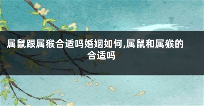 属鼠跟属猴合适吗婚姻如何,属鼠和属猴的合适吗