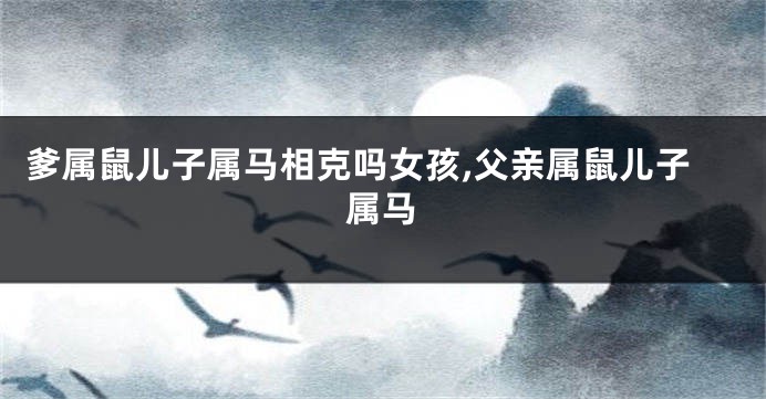 爹属鼠儿子属马相克吗女孩,父亲属鼠儿子属马