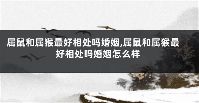 属鼠和属猴最好相处吗婚姻,属鼠和属猴最好相处吗婚姻怎么样