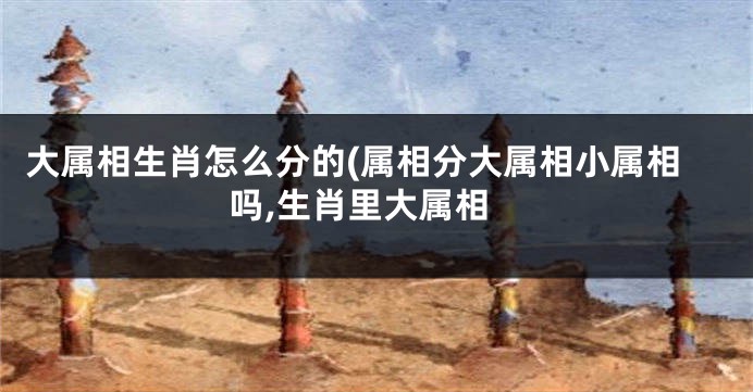 大属相生肖怎么分的(属相分大属相小属相吗,生肖里大属相