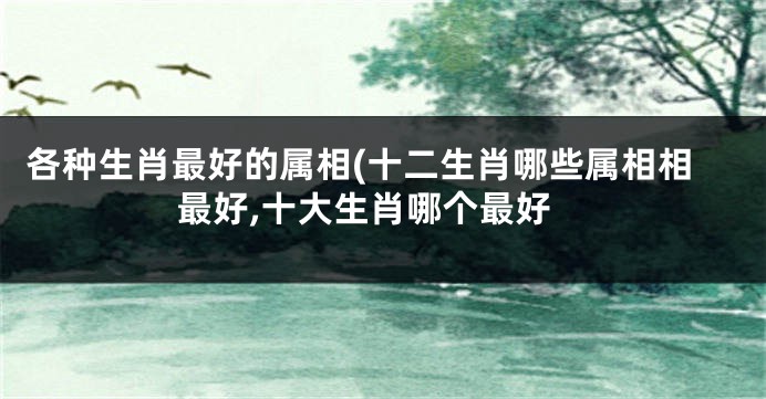 各种生肖最好的属相(十二生肖哪些属相相最好,十大生肖哪个最好