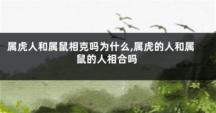 属虎人和属鼠相克吗为什么,属虎的人和属鼠的人相合吗