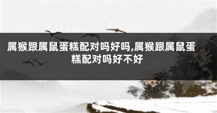 属猴跟属鼠蛋糕配对吗好吗,属猴跟属鼠蛋糕配对吗好不好