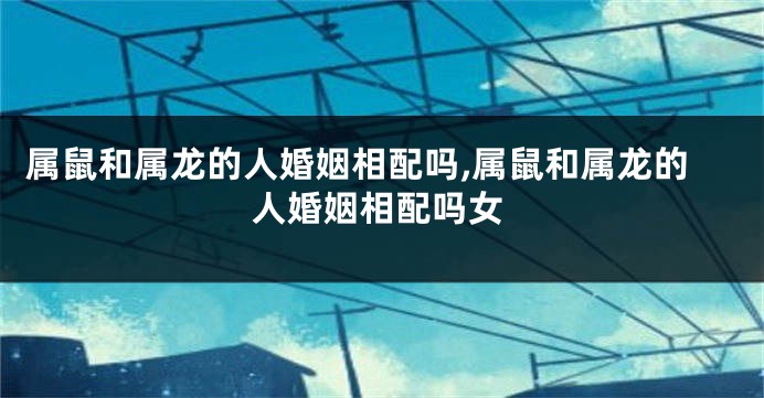 属鼠和属龙的人婚姻相配吗,属鼠和属龙的人婚姻相配吗女