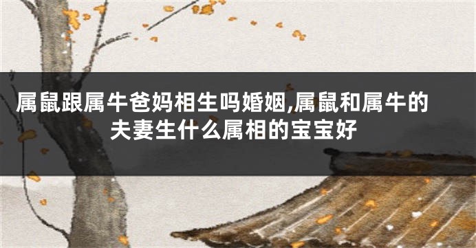属鼠跟属牛爸妈相生吗婚姻,属鼠和属牛的夫妻生什么属相的宝宝好