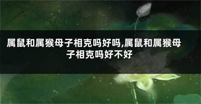 属鼠和属猴母子相克吗好吗,属鼠和属猴母子相克吗好不好