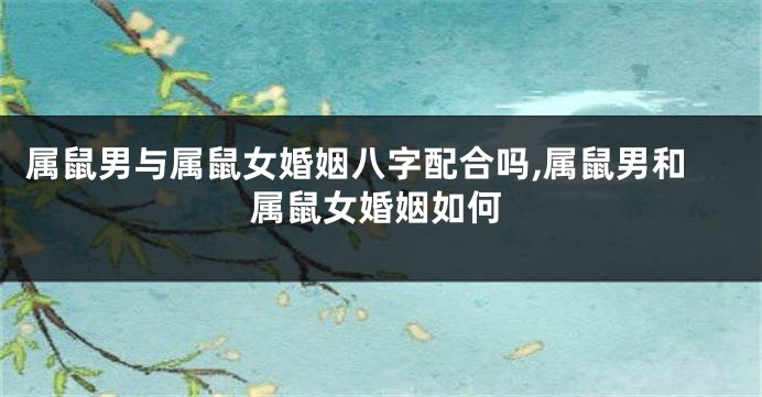 属鼠男与属鼠女婚姻八字配合吗,属鼠男和属鼠女婚姻如何