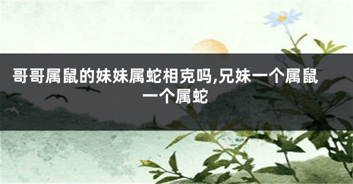 哥哥属鼠的妹妹属蛇相克吗,兄妹一个属鼠一个属蛇